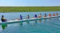 Aviron à Gravelines