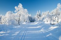 piste de ski