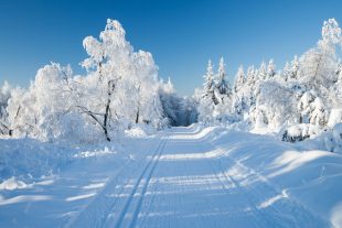 piste de ski