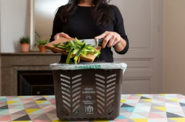 Samedi 19 Janvier 2019, 

Déchets alimentaires,
