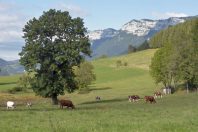 Massif du Vercors