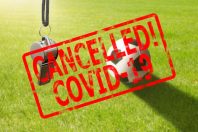 Covid-19 coronavirus annulation manifestations sport