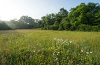 France, Ille-et-Vilaine (35), Chartres-de-Bretagne, le site ENS de Lormandière