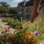 "J’entretiens l’immense jardin qu’est la ville"