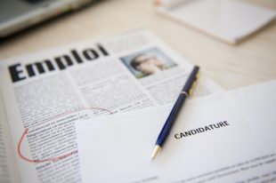 recherche emploi candidature