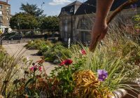 « J’entretiens l’immense jardin qu’est la ville »