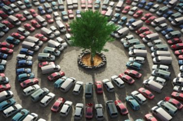 green tree surrounded by cars
