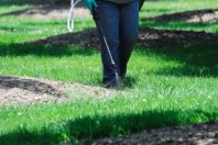 spraying pesticide in the lawn
