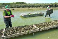 TOURISME EN VENDEE