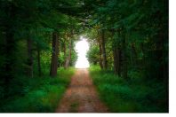 chemin_AdobeStock_296567459