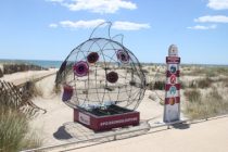 Poisson glouton sur une plage de l'Hérault © Département Hérault