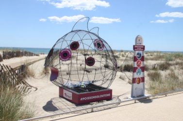 Poisson glouton sur une plage de l'Hérault © Département Hérault