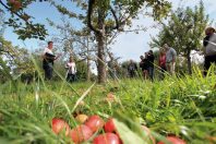 Verger_biodiversite