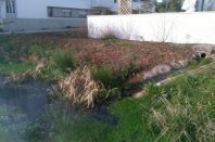 amenagementpluvial