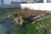 amenagementpluvial