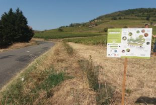 Trame turquoise et marathon au service de la biodiversité