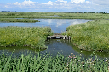 Image_Marais