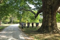 Ateliers d'utilisation du Barème de l'arbre lors de l'Arborencontre du 17 octobre organisée par le CAUE 77 au Parc de Rentilly à Bussy-Saint-Martin (77).