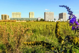 A Stains, sur la ZAC des Tartres, terre historiquement maraîchère, une filière économique va se créer, de la production des denrées au traitement des déchets.