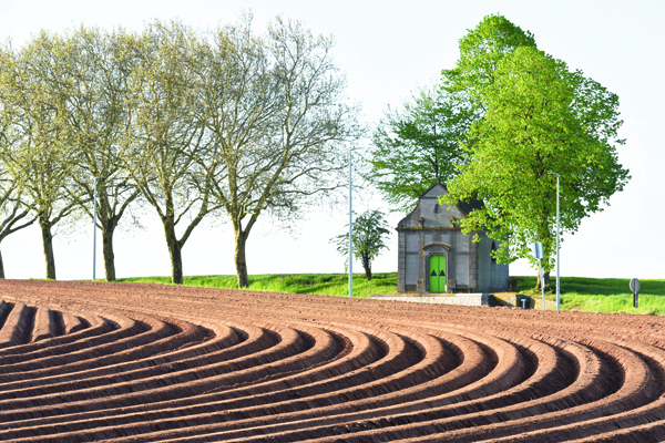 Pac Et Transition Ecologique La Greffe Ne Prend Pas