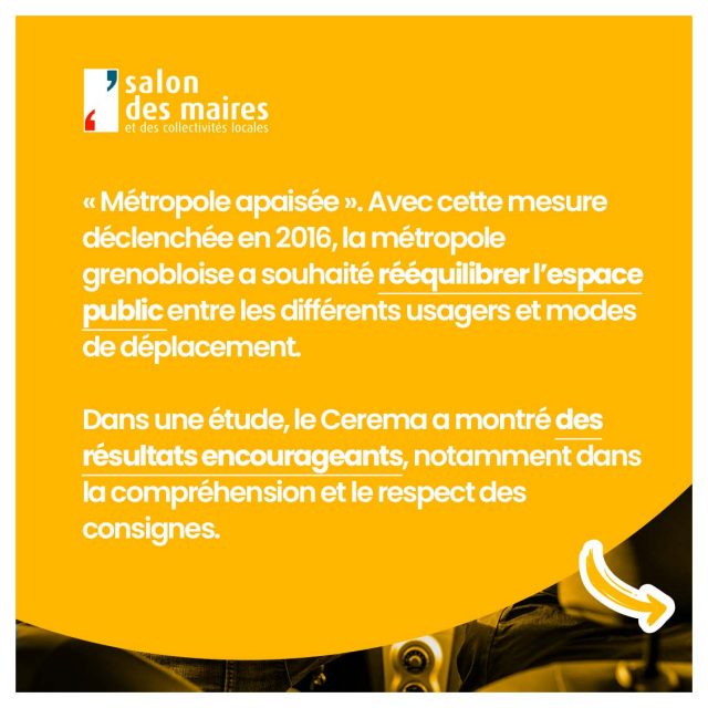 Maire-Veilleux_Grenoble - Panneau 2