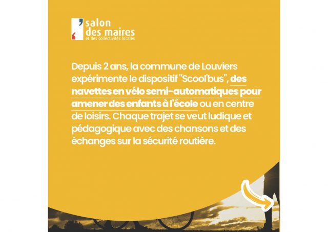 Maire-Veilleux_Navettes - Panneau 2