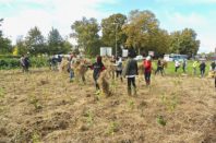 Urban Forests - plantation participative 2