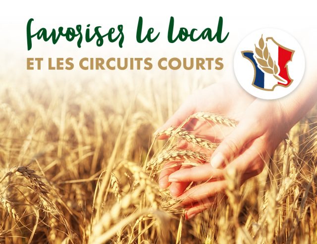 visuels-article-blé-FR-v4_enjeux-local