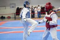 Taekwondo