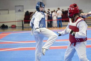 Taekwondo