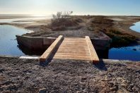 Des anciens salins de Camargue rendus à la nature