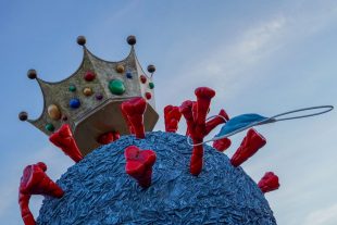 carnaval nice virus
