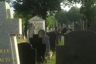 Cimetière enherbé dans la ville de Rennes.