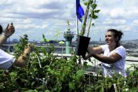 Les toits de l’Opéra-Bastille accueillent 2 500 m2 de plantations maraîchères destinées aux salariés de l’opéra, aux habitants et à certains restaurants du quartier.