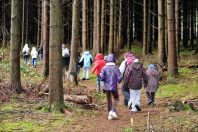 Ecole dehors plein air