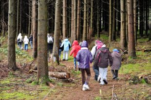 Ecole dehors plein air