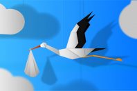 naissance-cigogne