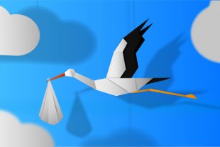 naissance-cigogne