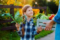 AdobeStock_286038386-600x400