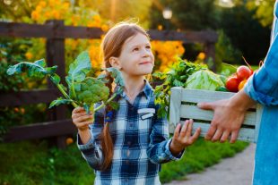 AdobeStock_286038386-600x400