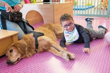 calinotherapie à la creche rosenberg, avec chien iska , animatrice, et petits enfants,