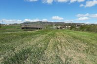 Photo 1 – Pour prairies plus naturelles sursemis d’espèces locales de la Drôme sur parcelles en ORE © CDC Biodiversité