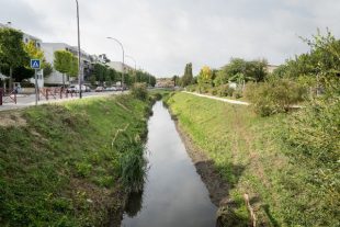 Travaux nettoyage rivière Bièvre