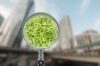 Le vert en ville