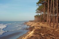 La forêt fournit un ensemble de services pas toujours bien reconnus : protection contre les aléas naturels (glissements de
terrains, érosion littorale), augmentation de la disponibilité en eau, filtration des polluants, conservation des sols, etc.
