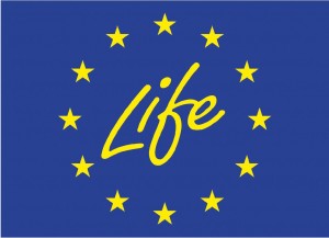 LIFE_logo-300x217