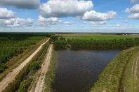 Médoc lacs zones humides (1)