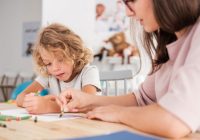 Des AESH privés dans les établissements scolaires ?