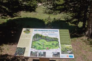 tourbieres-massif-Madre