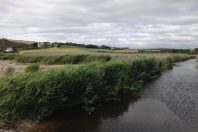 2 photos du marais de Kervigen.  Le marais de Kervigen est un site naturel de 22 hectares, situ sur les communes de Ploven et Plomodiern, dans le Finistre. Le marais est compos majoritairement dÕune roselire